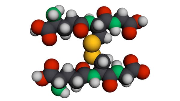高分子制御技術によるグルタチオンバイオスティミュラント　北見工業大学と共同研究　WAKU