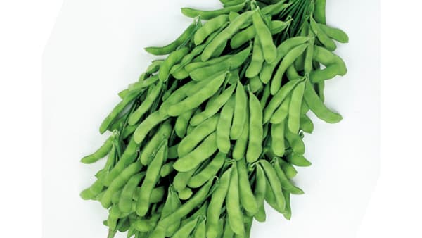 春・夏・秋の収量性に優れたエダマメ「たっぷり」新発売　サカタのタネ