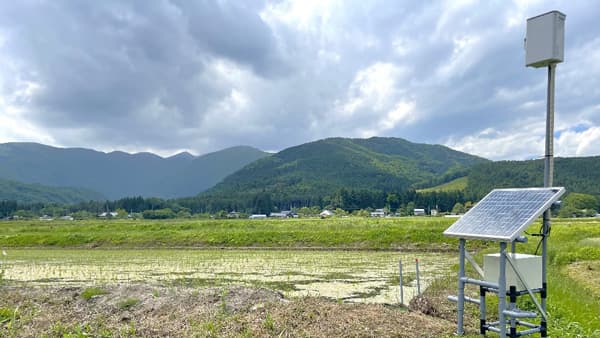 農業IoTの通信インフラ整備へ　自治体や土地改良区と連携　farmo