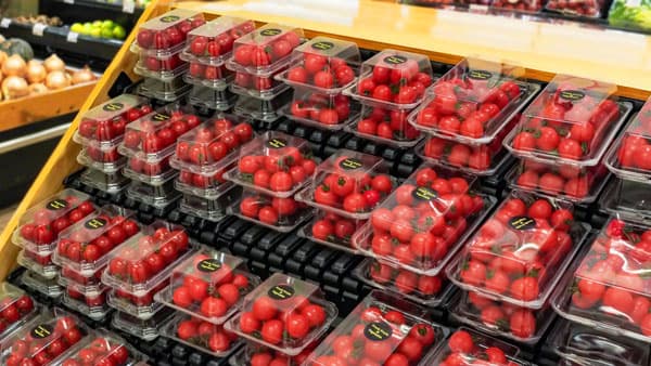 青果流通の折りたたみコンテナに収まる容器「VFC-K」新発売　エフピコチューパ