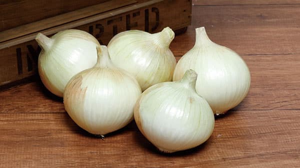 形状、色に優れるタマネギ「ゆめたま」6月上旬に発売　サカタのタネ