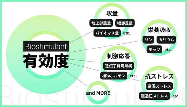 バイオスティミュラントの有効な原体群を集めたライブラリーを提供開始　AGRI SMILE