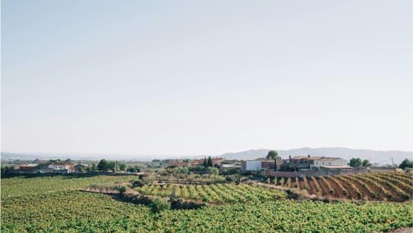 離農支援サービス「農業アトツギ」耕作放棄地再生で地域農業を活性化　唐沢農機サービス