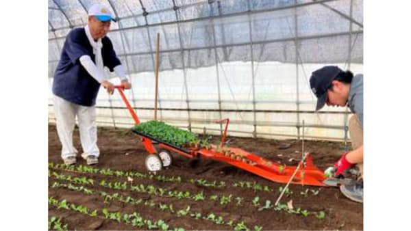 世界初スイッチ型分解ペーパーポット　持続可能な農業資材を開発　ニッテン