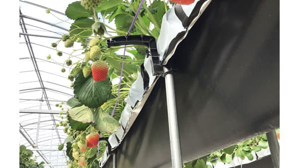 35年以上耐用　リサイクルで環境負荷低減　エネルギーコスト削減も　AGCグリーンテック「エフクリーン」