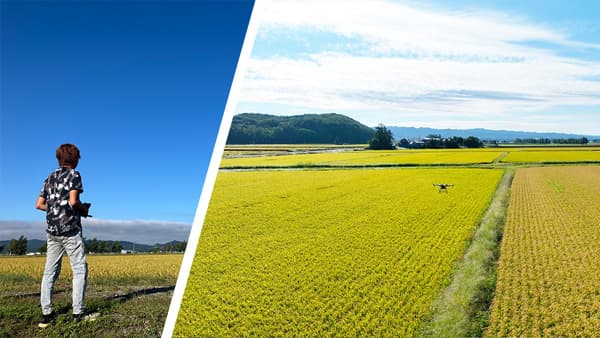 ナイルワークス　スマート農業共同体（SAc）の法人会員に　北海道の農業を応援