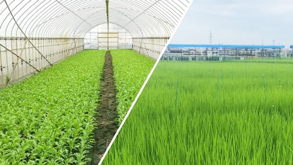 東大・クボタ・パナソニックHD、土壌微生物の機能制御・利用学に関する共同研究を開始