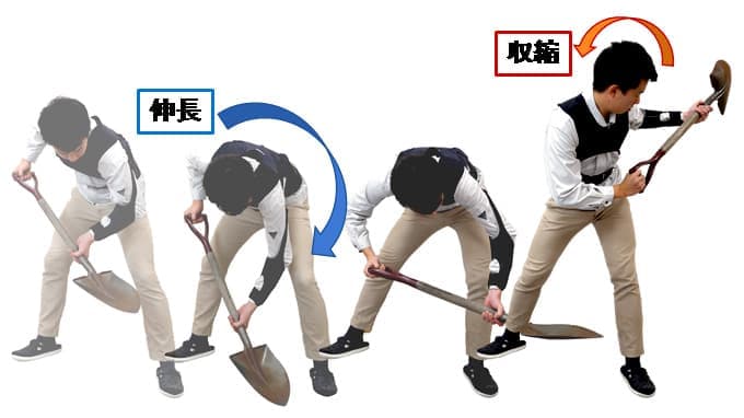 ゴムの伸縮機能を利用した低価格アシストスーツ予約販売開始　ダイヤ工業