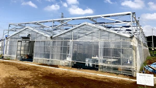 自然エネルギーで運営する地域密着型ICT農場が開所　スマートブルー