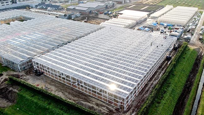 オランダの園芸施設トップ　ボスマン社と業務提携　イノチオ