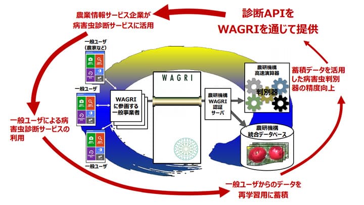 AI病虫害画像診断システムの提供開始　農研機構、法政大学などが共同研究