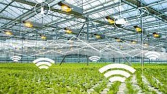 世界のスマート温室市場　2026年までに12.1％のCAGRで成長