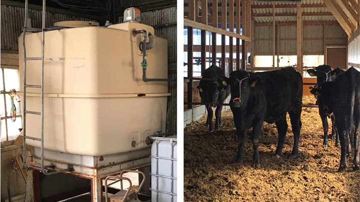 「腐植」で畜舎の水質を改善「飲水システム」サービス開始　エンザイム