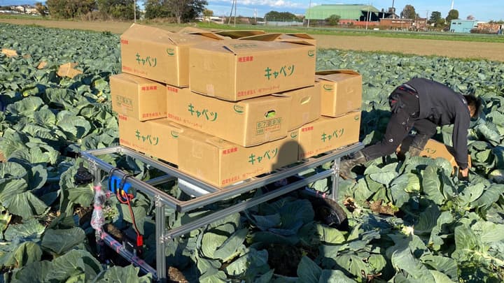 深谷市の農家主導で「キャベツ搬送ロボット」開発　アトラックラボ