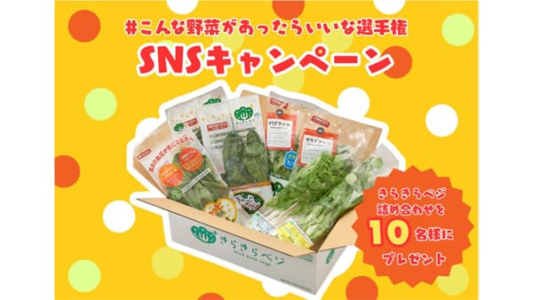 野菜の価格高騰を解決へ　植物工場「きらきらベジ」SNSキャンペーンを開催　日本山村硝子