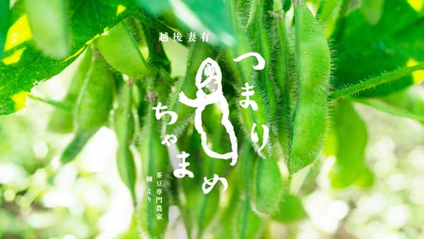 日本一の味「つまりちゃまめ」2025年産夏ギフト予約販売開始　柳農産