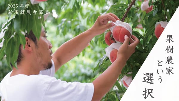 果物専門EC「Bonchi」果樹農家をめざす若手新規就農者を募集開始