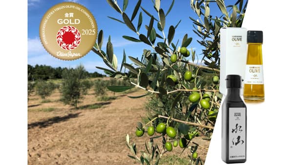 福井の耕作放棄から生まれた「三里浜オリーブ」国際オリーブオイルコンテストで金賞