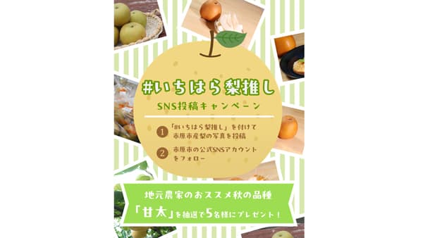 「いちはら梨」が当たるSNS投稿キャンペーン実施中　千葉県市原市