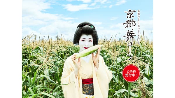 白くて甘いとうもろこし「京都舞コーン」予約開始
