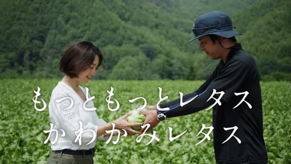 日本一のレタス生産量・川上村のレタスのプロモーション動画を公開　TOKYO FM