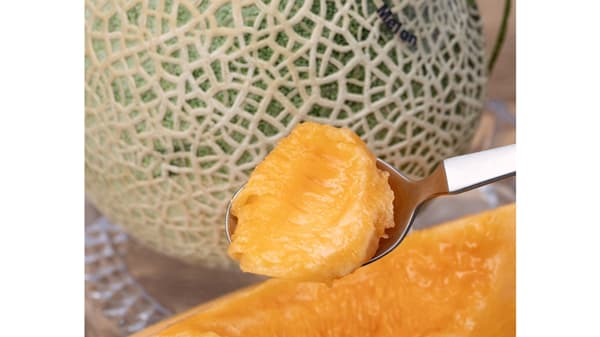 近大農学部学生が栽培「なら近大農法（ICT農法）メロン」販売　豊洲市場ドットコム