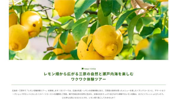 ANA「農園プロジェクト」広島県産レモン収穫体験ツアー発売