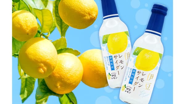 ＪＡふじ伊豆×木村飲料静岡県伊豆・東部のご当地「伊豆レモンサイダー」新発売