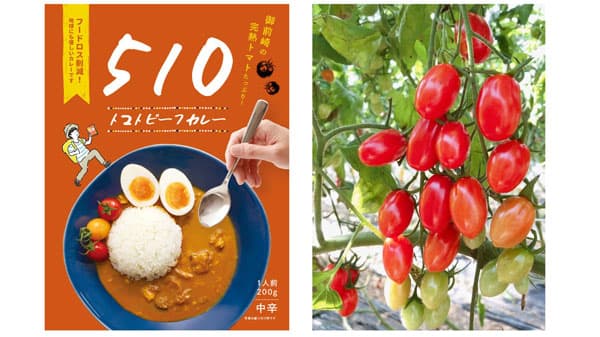 規格外ミニトマト30kg使用　レトルトカレーでフードロス削減　MOTTAINAI BATON