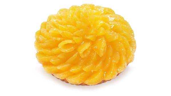 愛媛・宇和島　CORLEO FARM産「コル'マドンナ」のケーキを販売　カフェコムサ