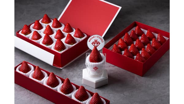 宮城・山元町発「ミガキイチゴ」大阪・関西万博で復興の歩み発信　GRA