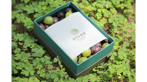 「奇跡のぶどう」茨城県常陸太田市「あすか農園」のオンラインショップがオープン