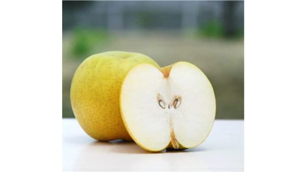 極早生で良食味のニホンナシ新品種「蒼そう月げつ」育成　農研機構