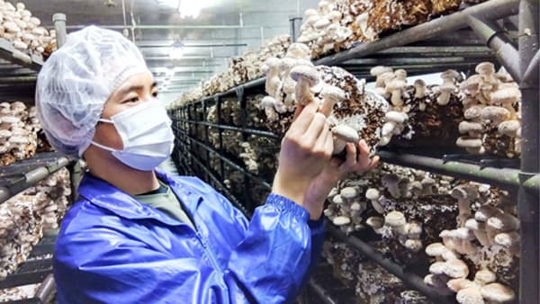 精神障害者の自立と活躍へ　農福連携で新たなモデル提供　ゼネラルパートナーズ