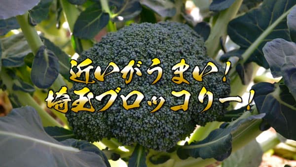 52年ぶり「指定野菜」のブロッコリー　埼玉県産が「鮮度」で首都圏の消費拡大を牽引