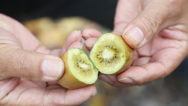 果実のフードロス削減と農家支援「キリン 氷結mottainai キウイのたまご」セブン‐イレブン限定で新発売