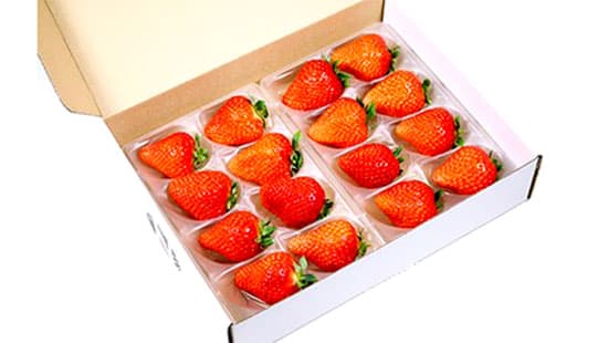 岡山のいちご「晴れ娘」2021年の予約販売開始