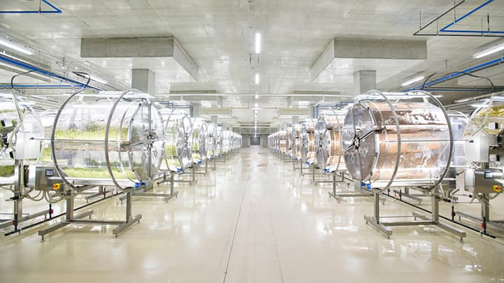 山梨県に国内最大規模の完全人工光型植物工場が完成　村上農園
