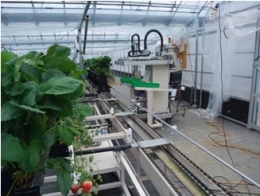 定置型収穫ロボット（右）と移動型栽培ベッド