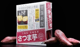 受賞したＪＡなめがた「さつま芋キャンペーンケース」