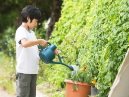 活動のようす