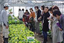 女性農業者と「新野菜」つくる　サカタのタネ