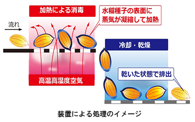 装置による処理のイメージ