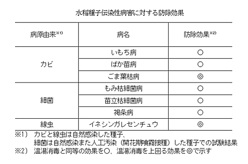 水稲種子伝染性病害に対する防除効果