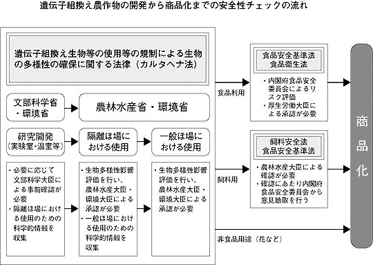 `qg_앨̊J珤i܂ł̈S`FbN̗