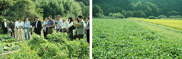 （左）有機栽培は土づくりから。金子さんの畑を視察する参加者たち。・（右）ブロックローテーションで行われている水稲と大豆の圃場。来年は、左の大豆圃場が水稲に切り替えられる。