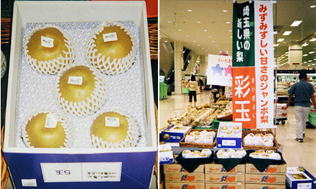 （左）みずみずしい甘さのジャンボ梨『彩玉』（右）キャンペーンではトップステージに置かれた（９月３日、ジャスコ浦和美園店にて）