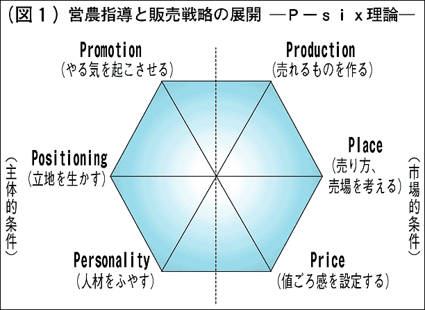 c_wƔ̔헪\P\six_\