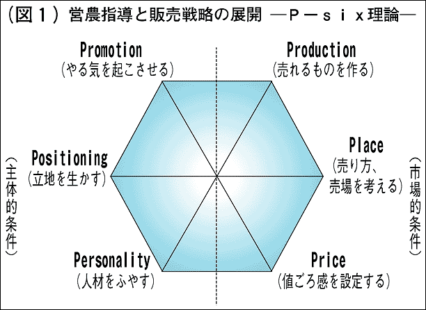 c_wƔ̔헪̓WJ|P\six_|