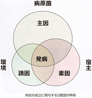 病気の成立に関与する３要因の関係